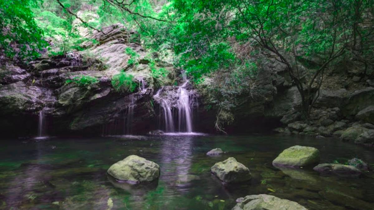 Top 5 tourist getaways near Chennai to enjoy this Summer