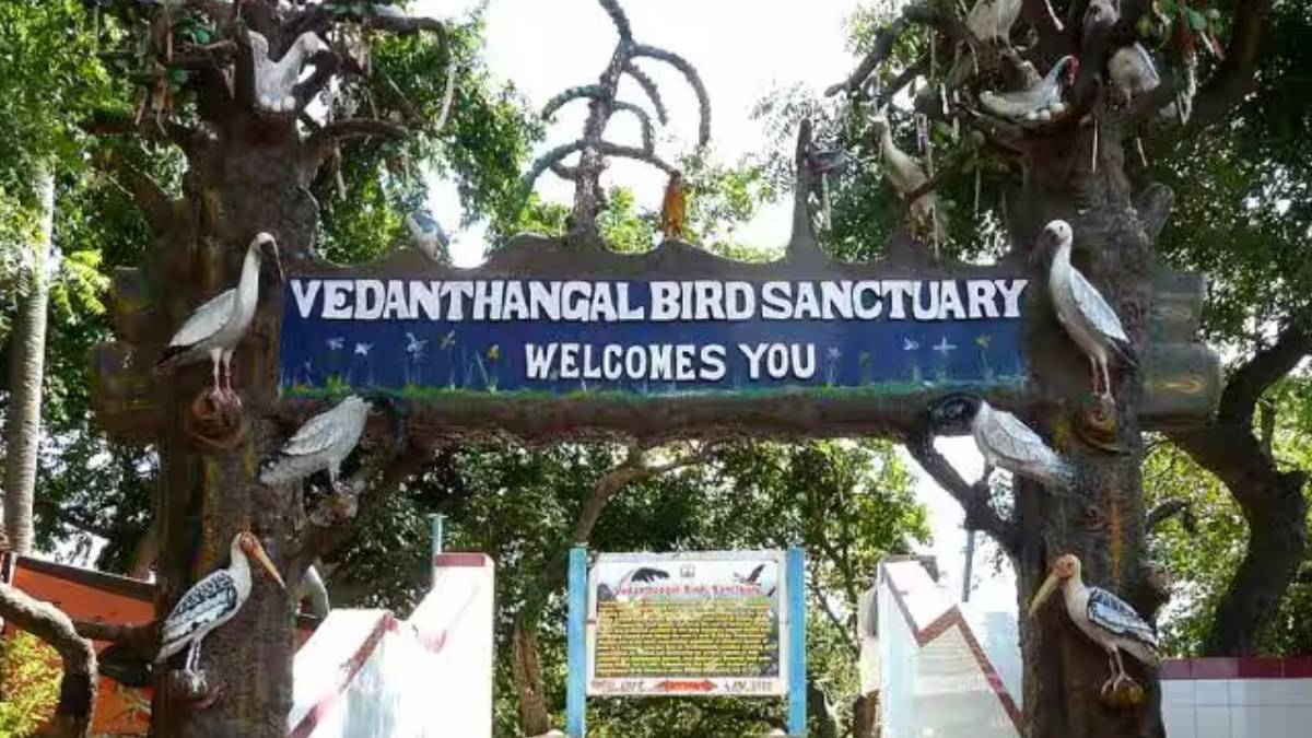 Top 5 tourist getaways near Chennai to enjoy this Summer