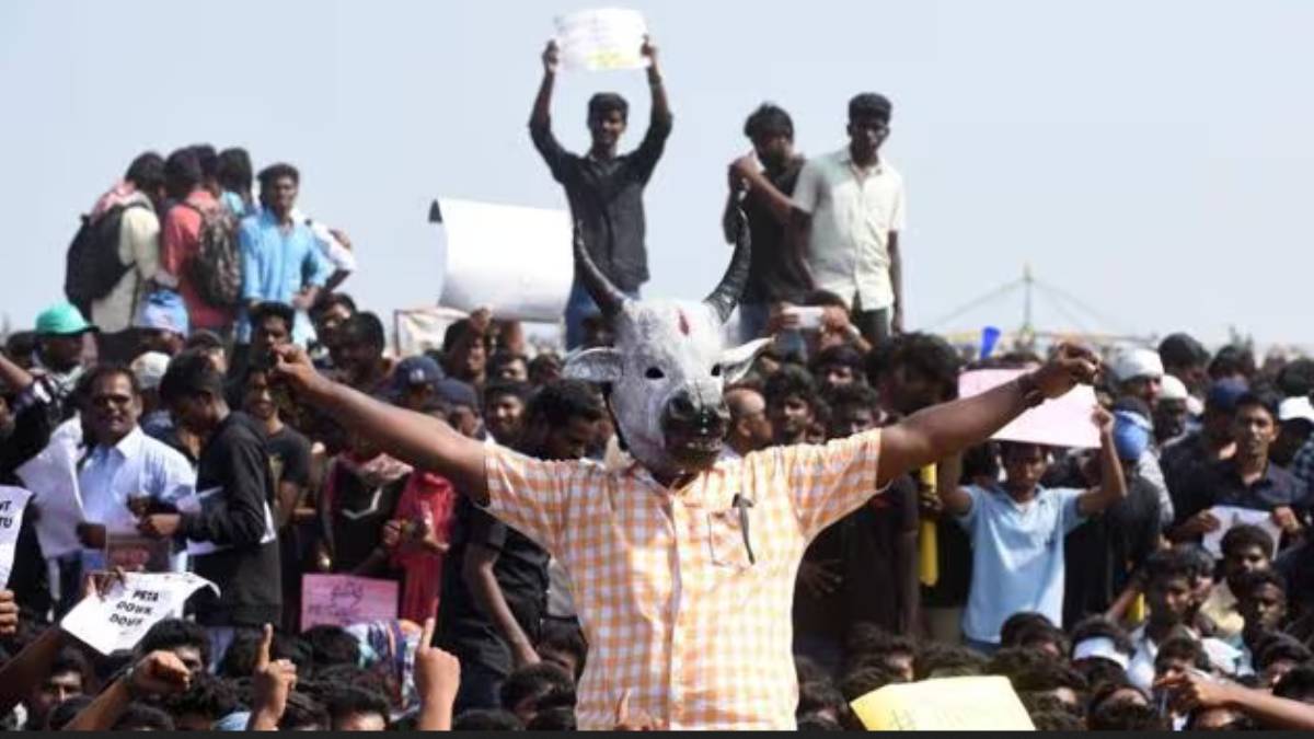 What did the Supreme Court mention in the Jallikattu judgment about the Marina revolution? 