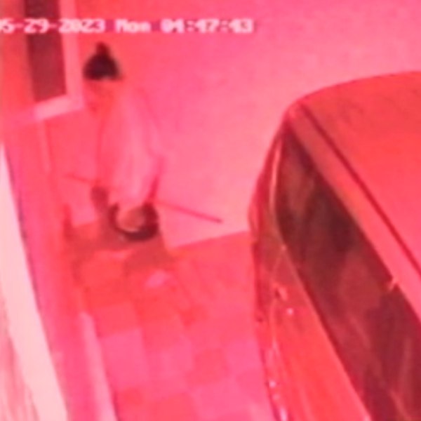 twist in elder woman murder that daughter in law killed her over dispute 