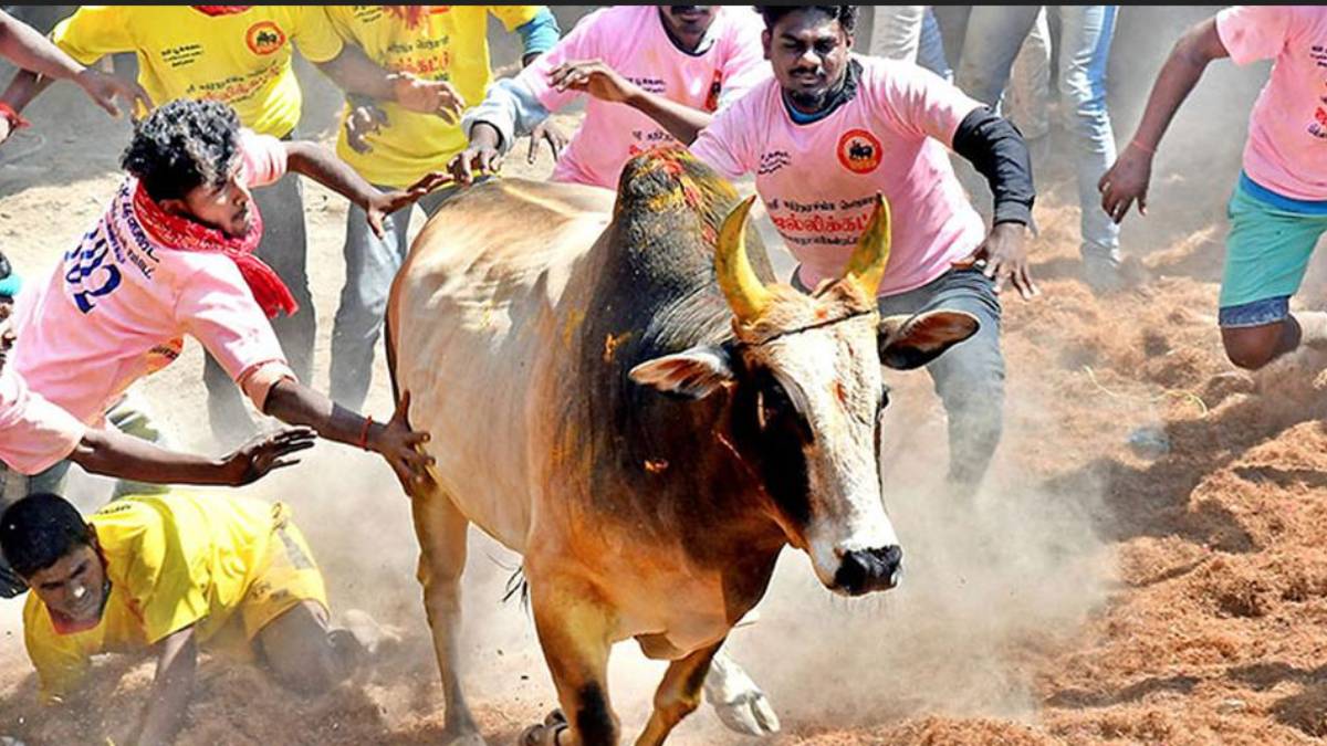 Veeramani, Vaiko hail Supreme Courts Verdict on Jallikattu