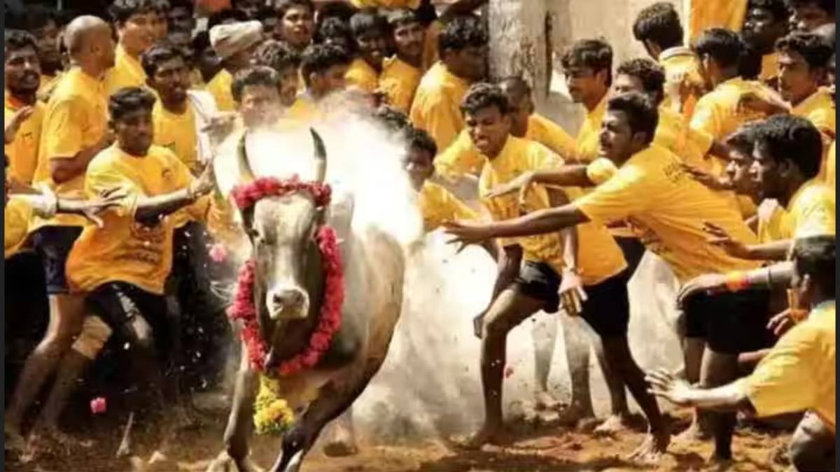Kmdk General Secretary Eswaran has requested that the TN govt should protect the endangered breeds of domestic cows and bulls 