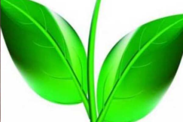 When is OPS going to hold conference in Kongu region and Can OPS beat Edapadi Palanisamys strategy When is OPS going to hold conference in Kongu region and Can OPS beat Edapadi Palanisamys strategy