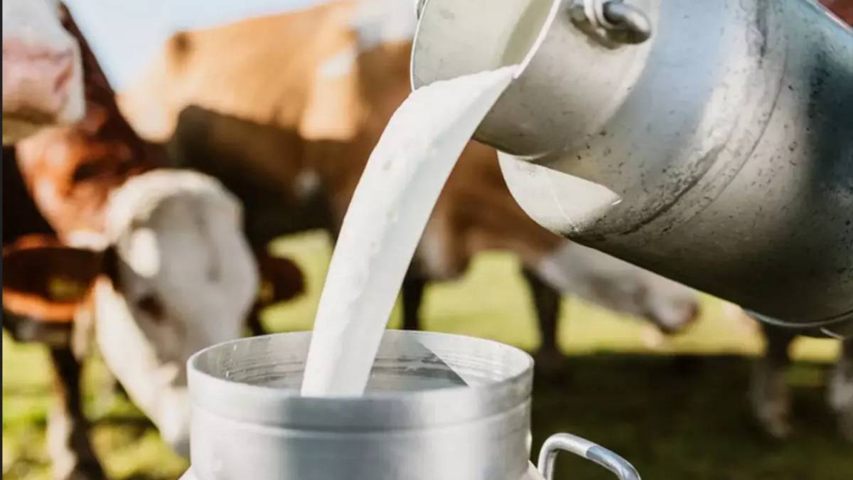 UP government is planning to develop 190 villages as pioneer milk production villages to increase milk production 