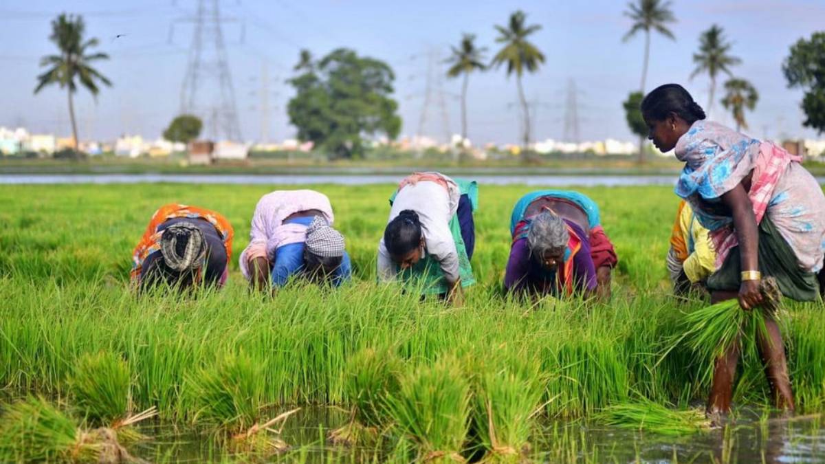 why did Reduction of three-phase electricity for agriculture in Tamil Nadu to 12 hours? 