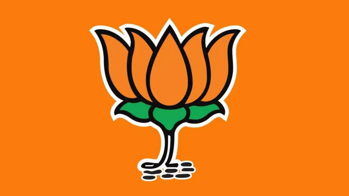  What Anand Srinivasan said about BJP and its politics for past 9 years