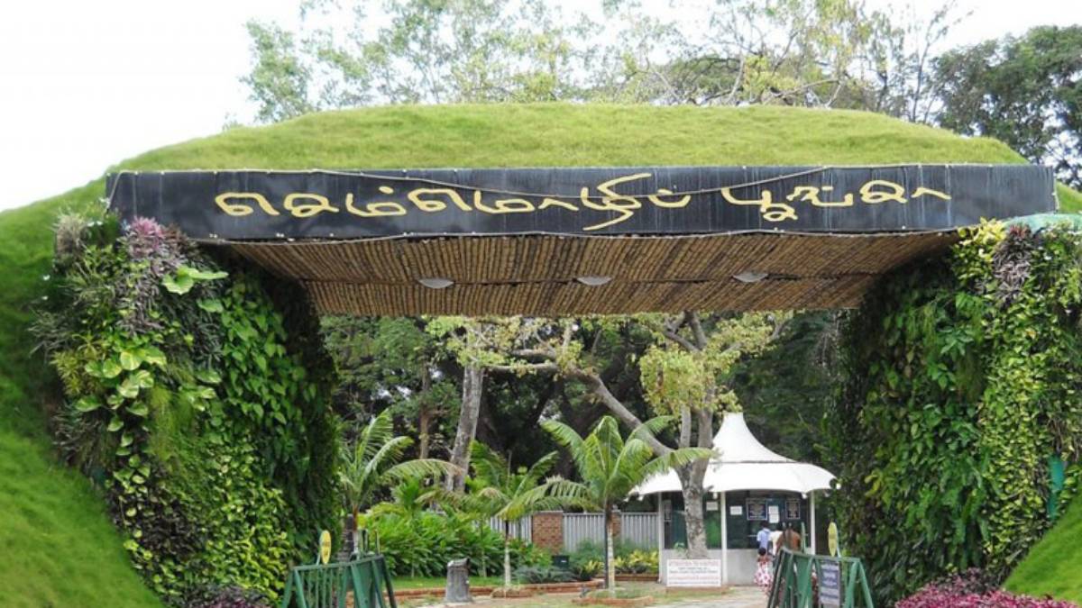 Flower show will be held at Chennai Semmozhi Park for 3 days from June 3 