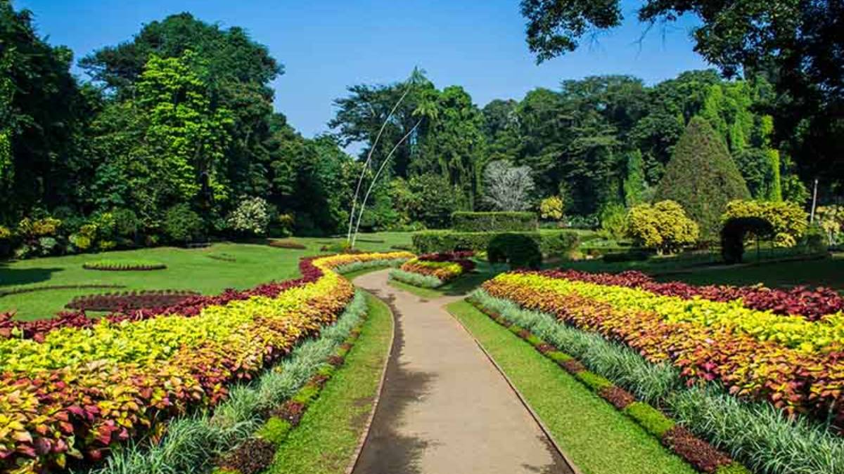Flower show will be held at Chennai Semmozhi Park for 3 days from June 3 