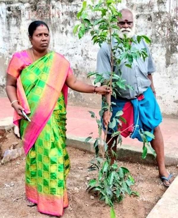  The Greater Chennai Corporation planted totally 16,444 native saplings around Chennai area 