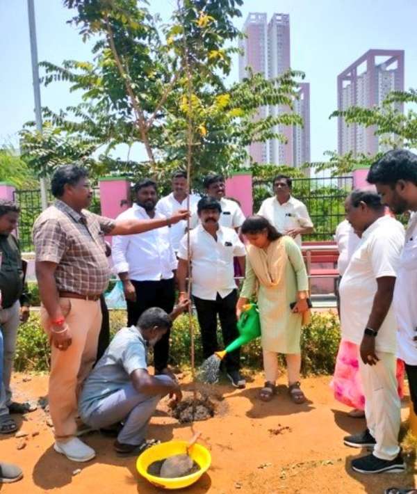  The Greater Chennai Corporation planted totally 16,444 native saplings around Chennai area 