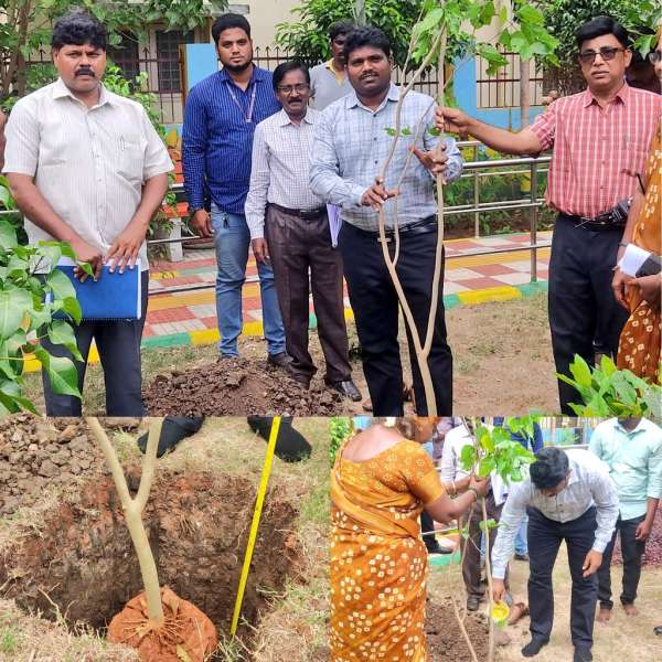  The Greater Chennai Corporation planted totally 16,444 native saplings around Chennai area 
