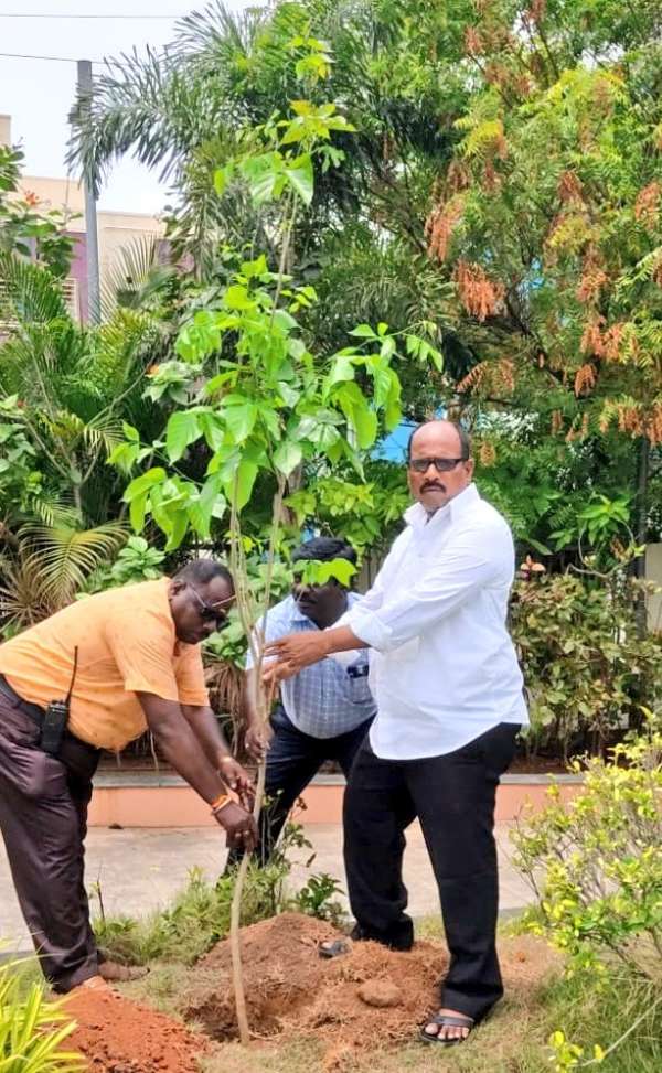  The Greater Chennai Corporation planted totally 16,444 native saplings around Chennai area 