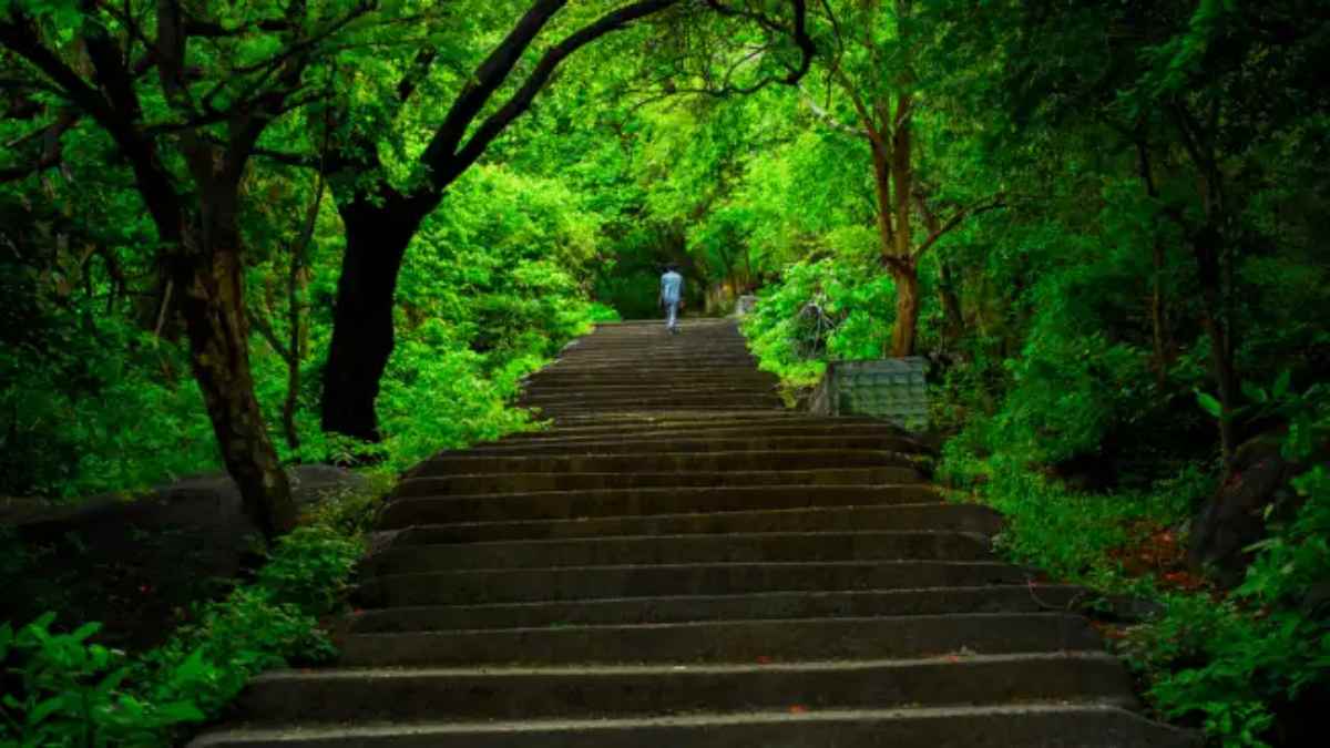 Tour Yelagiri: Do you know what are the specialities in the Yelagiri hills for summer holidays