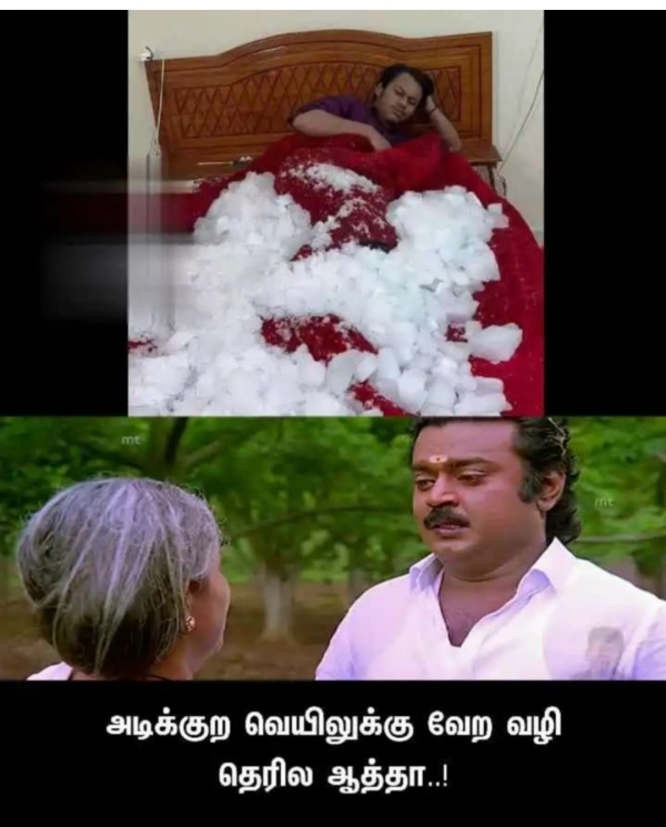 Funny memes collection on summer 13-06-2023