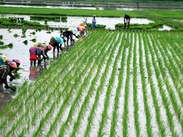 TN government subsidy of Rs.42 thousand is being given to the farmers: how can apply 