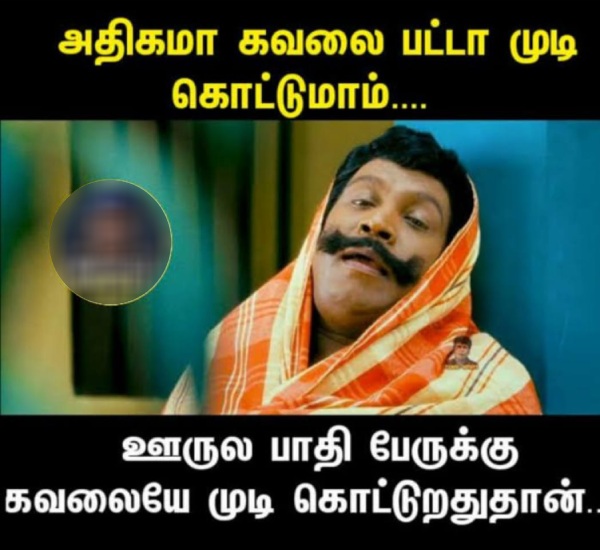  Funny memes collections on hair