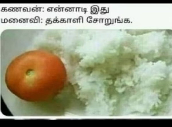 Viral memes collection on tomato price 27062023