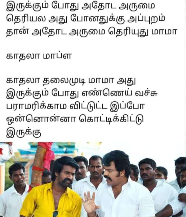  Funny memes collections on hair