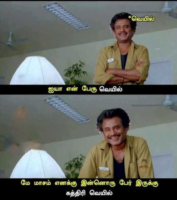 Funny memes collection on summer 13-06-2023