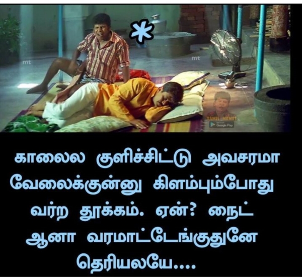 Funny memes collection on sunday sleep