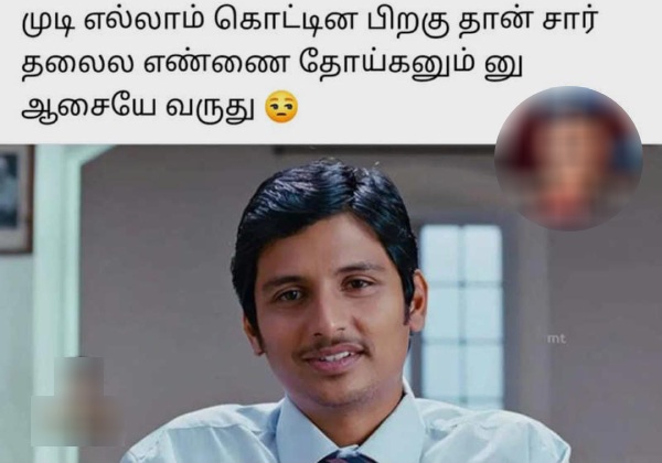  Funny memes collections on hair