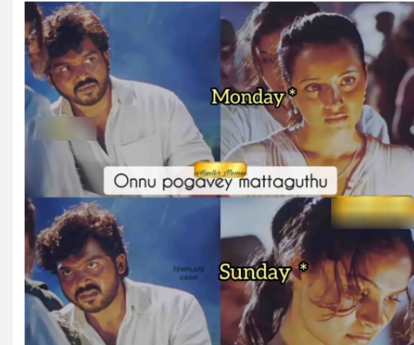  Lets we looks the list of funny sunday memes