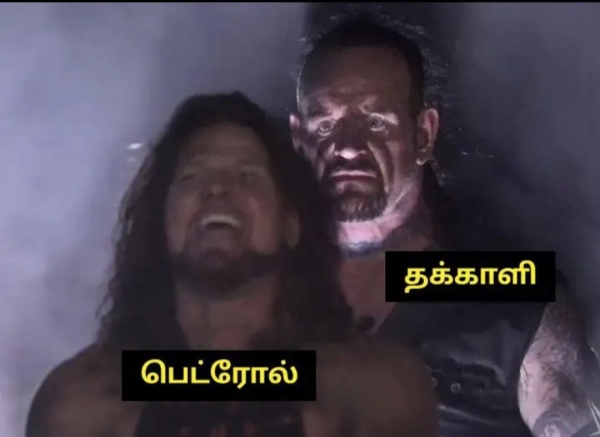 Viral memes collection on tomato price 27062023