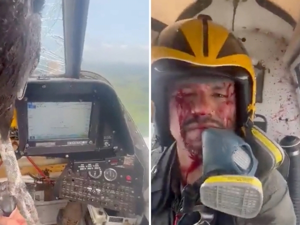 Huge bird struck Plane windshield in Ecuador shocking video circulating on social media 