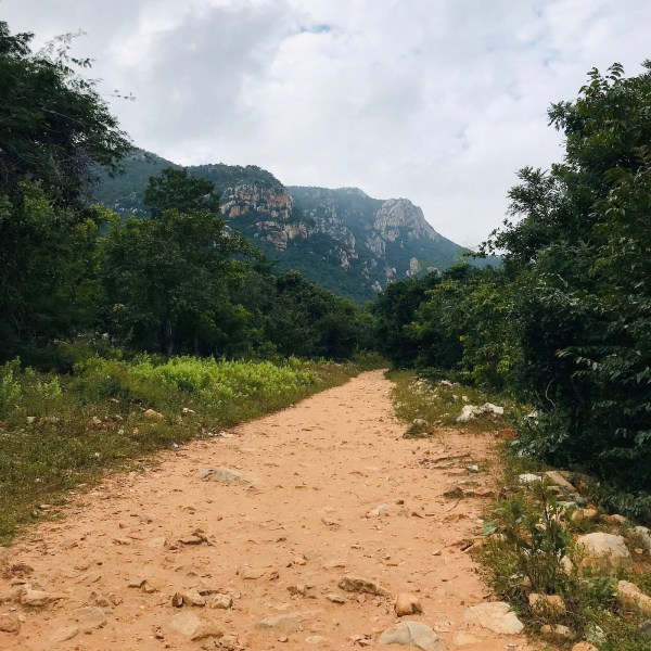 Best one day tour option from Chennai - How to go Uppalamadu Waterfalls? 