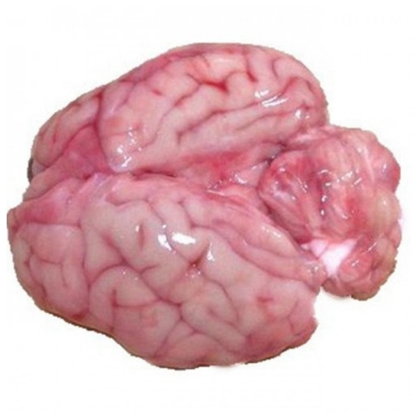 health news and Do you know what are the health benefits of mutton brain and goat head curry