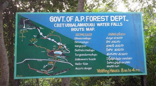 Best one day tour option from Chennai - How to go Uppalamadu Waterfalls? 