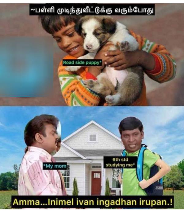 These are some jolly memes collection on school and college students.