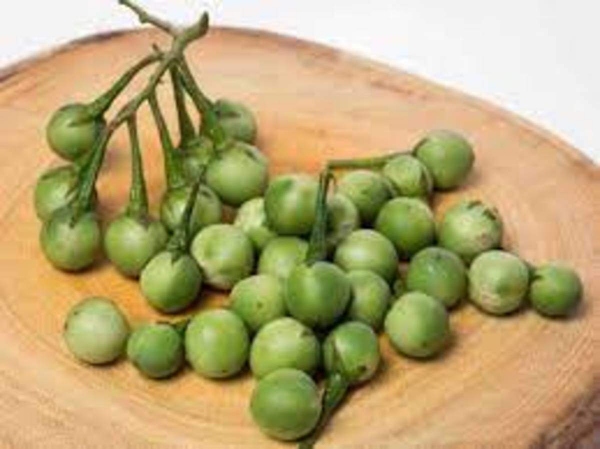 Health Benefits of Sundakkai in Tamil 