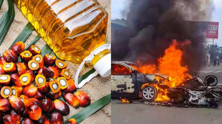 What is Union Govts Palm Oil Project in NE? Why Manipur is Burning? 