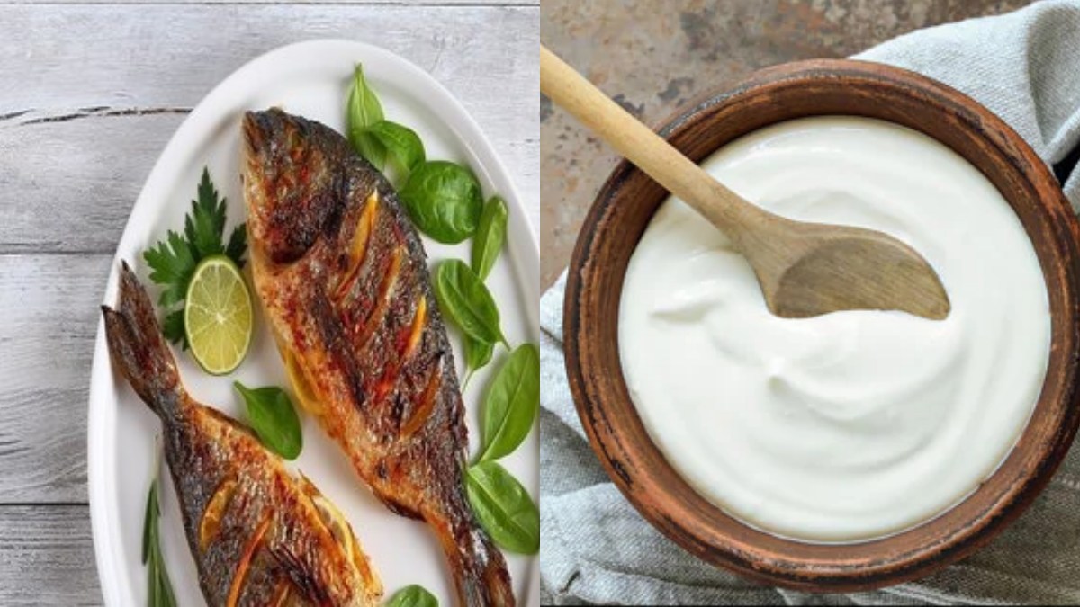 Curd should not be taken along with fish Curd should not be taken along with fish