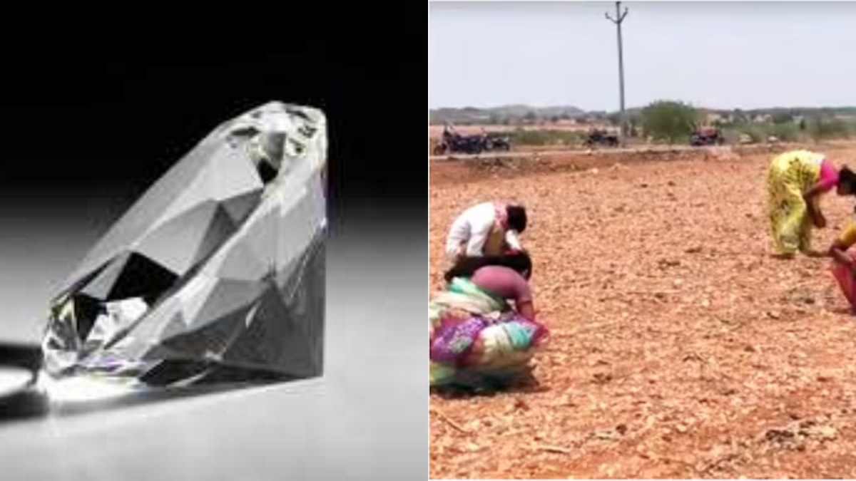 weather and Rain: did diamond come out automatically in the field and what happened in andhra pradesh weather and Rain: did diamond come out automatically in the field and what happened in andhra pradesh