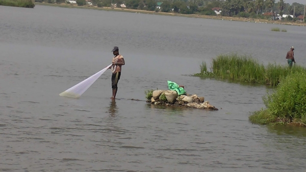2000 rupee notes were found in the fish net spread by the Kanyakumari fisherman 