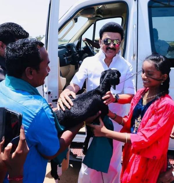 Girl gifted lamb to cm stalin, farmers gifted goat to cm stalin