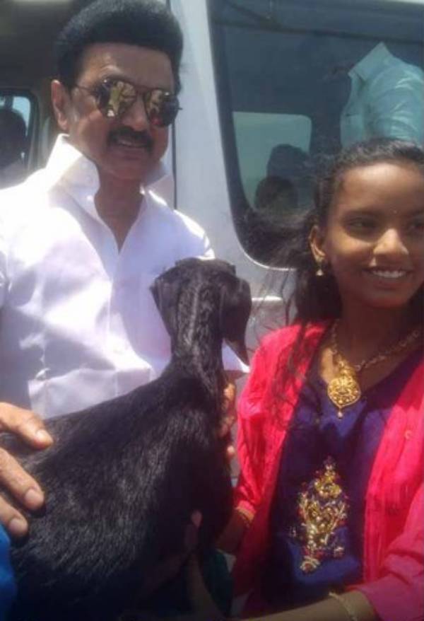 Girl gifted lamb to cm stalin, farmers gifted goat to cm stalin