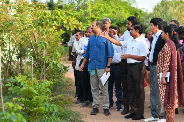  Tamilnadu government plant 1 lakh trees in Chennai to make greenish environment