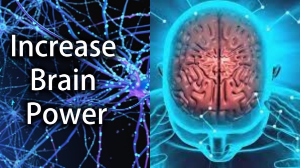  What Causes forgetfulness?...How to increase memory power? 