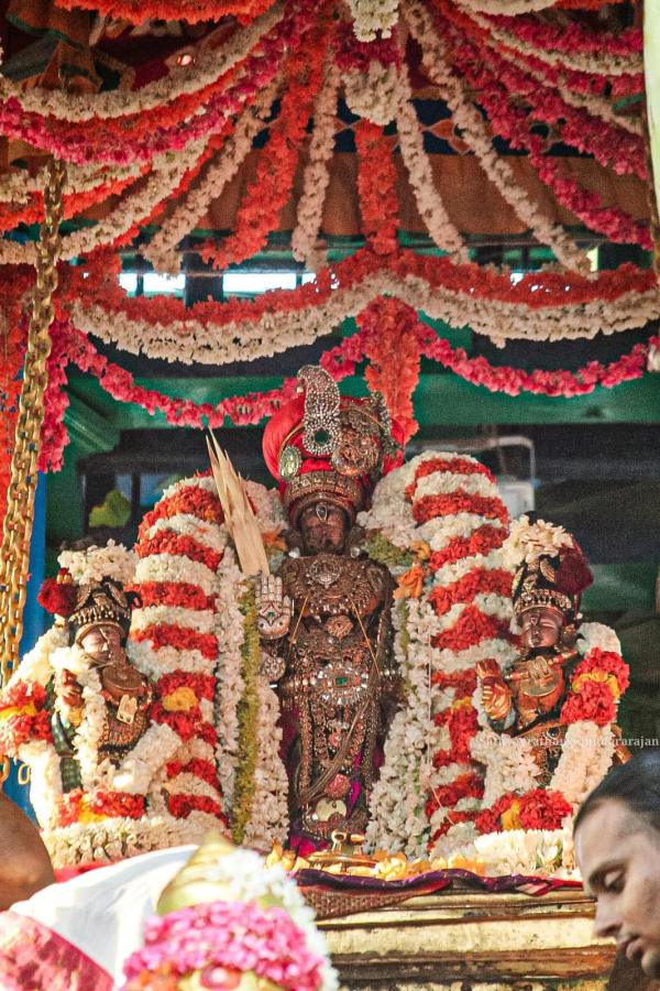 Kanchipuram Varadharaja Perumal Temple Vaikasi Brahmotsavam Thiru Therottam today 
