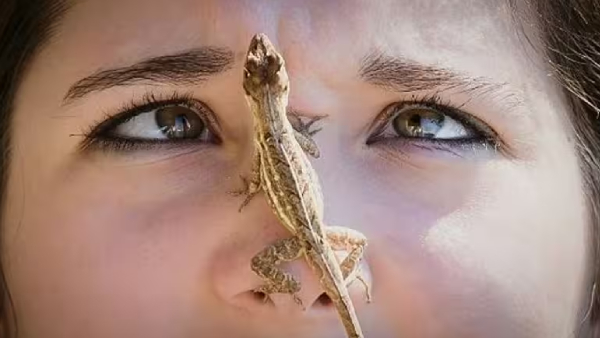 Palli Vilum Palan: Palli Mugathil Vilunthal enna palan parikaram Enna 