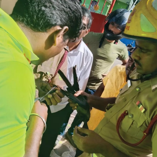 Kanniyakumari Excellent incident and what happened to that Nylon thread crow in Nagarcoil Kanniyakumari Excellent incident and what happened to that Nylon thread crow in Nagarcoil