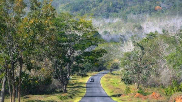 Tamil Nadu nilgiris villages get road in first time after 75 years of independence day