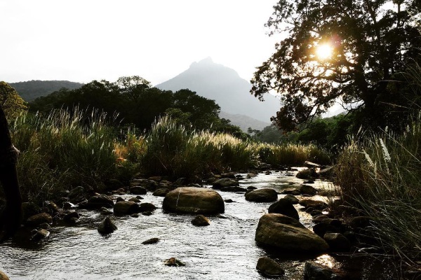 How to go to Puliyancholai fall located in Trichy? 