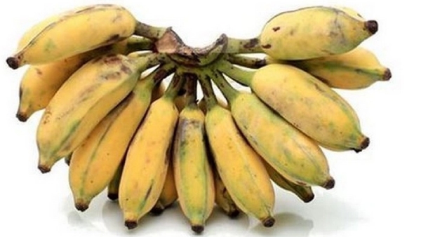 health news and Do you know what are the health benefits of Karpoora Valli Banana surprising health news and Do you know what are the health benefits of Karpoora Valli Banana surprising