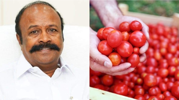 Minister KR Periyakaruppan warned that strict action will be taken against those who hoard tomatoes Minister KR Periyakaruppan warned that strict action will be taken against those who hoard tomatoes