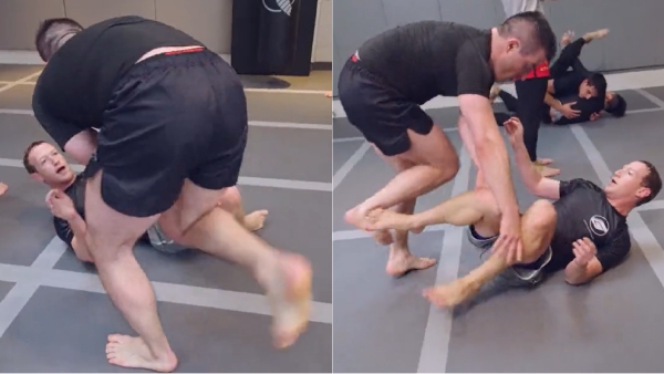  World top tech gaits Elon musk is ready to take over Mark Zuckerberg in cage fight