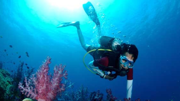 How to experience Scuba diving in Tamilnadu? 